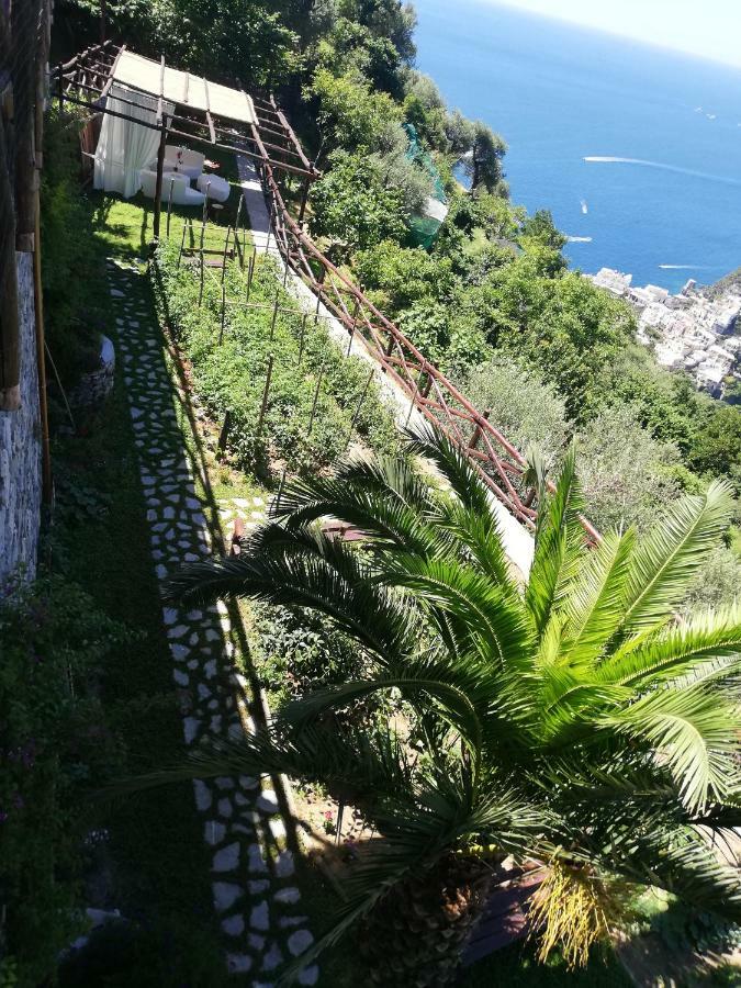 Villa Graziella Positano "A Piece Of Paradise" Zewnętrze zdjęcie